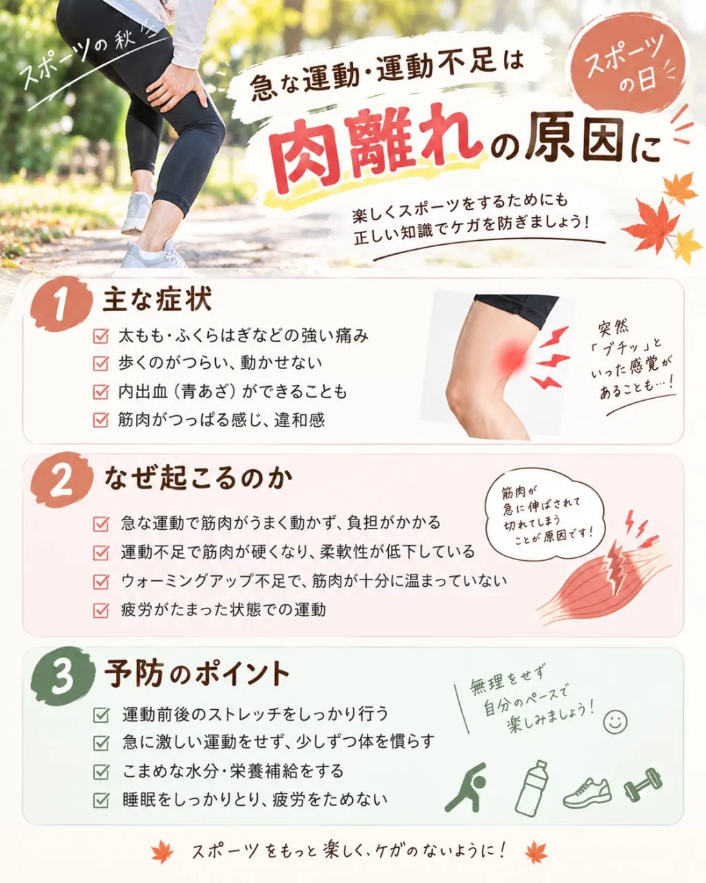 🍁 スポーツの秋！急な運動・運動不足による「肉離れ」に注意！