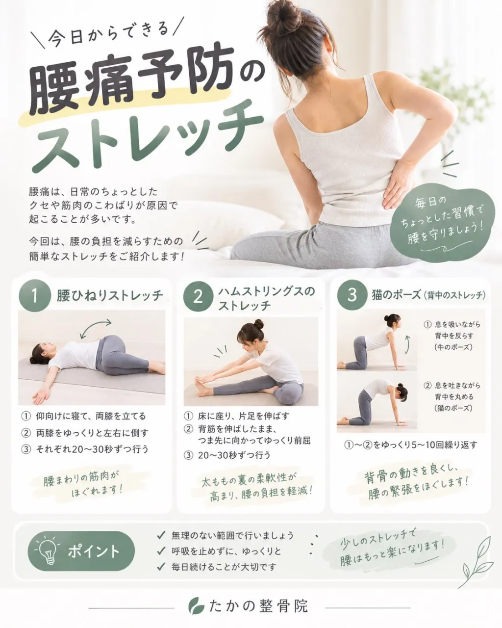 【腰痛予防のストレッチ🧘‍♀️✨】